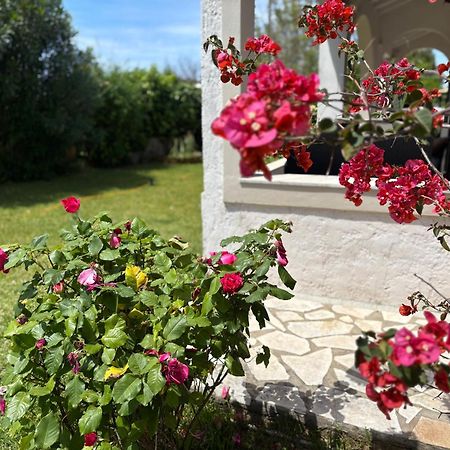 Sirios Appartement Acharavi  Buitenkant foto