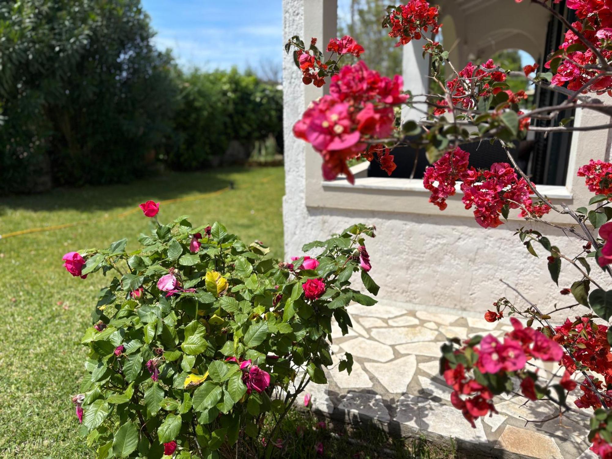 Sirios Appartement Acharavi  Buitenkant foto