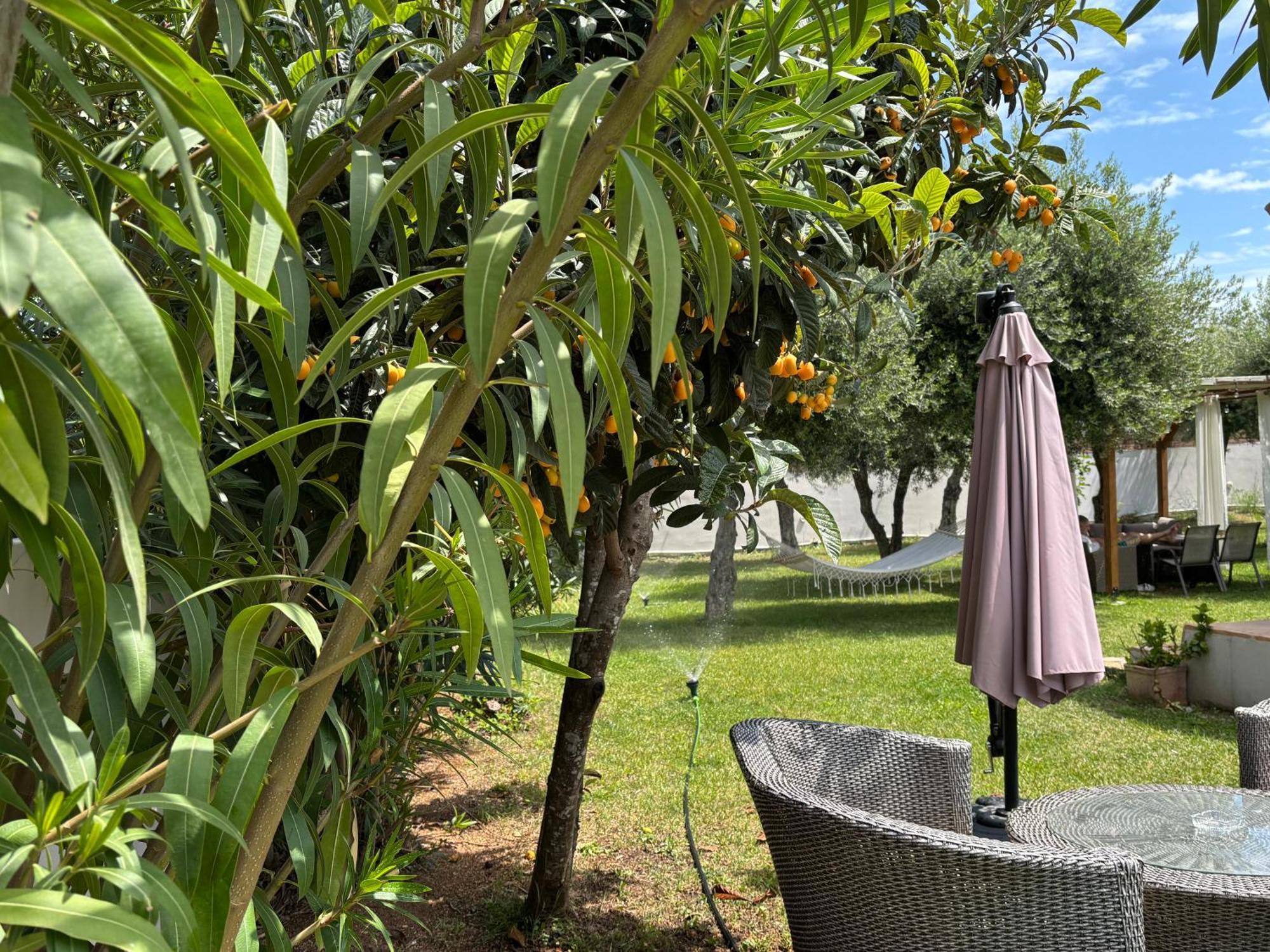 Sirios Appartement Acharavi  Buitenkant foto
